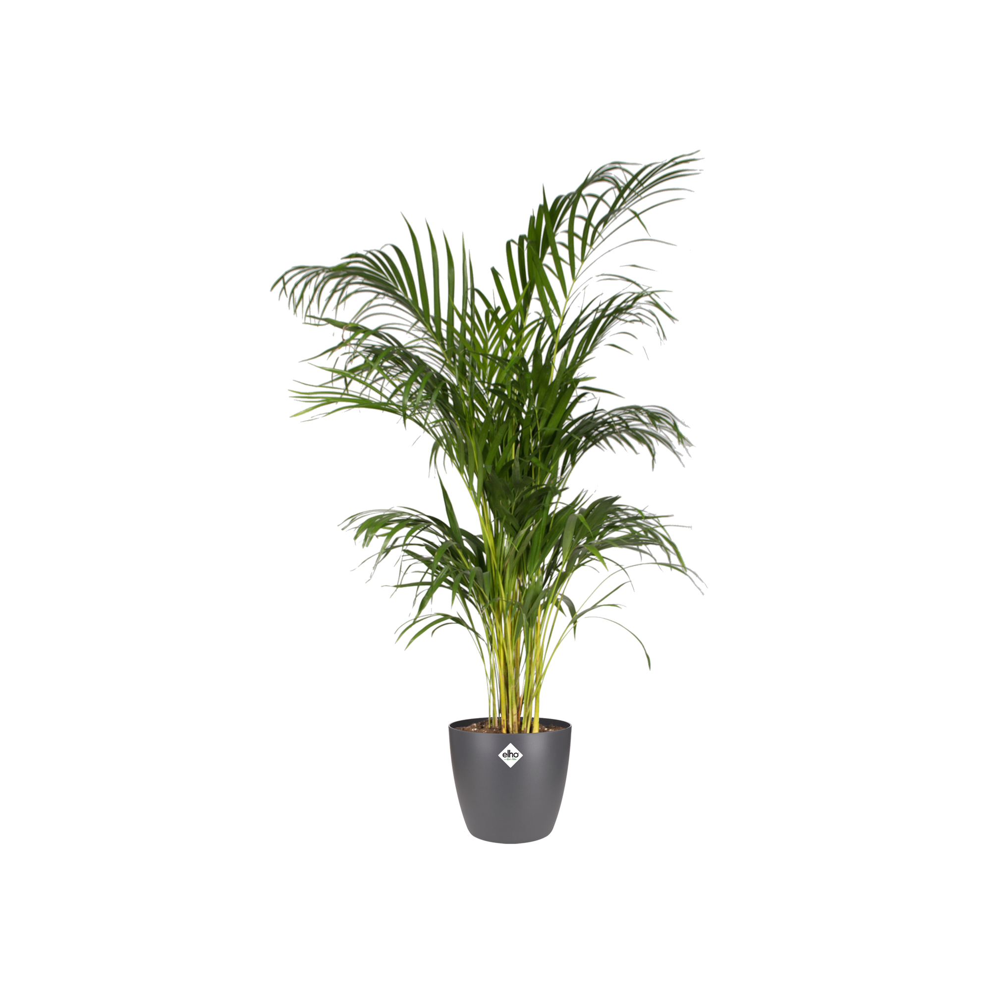 Pot elho Brussels Round Antraciet D30 x H27